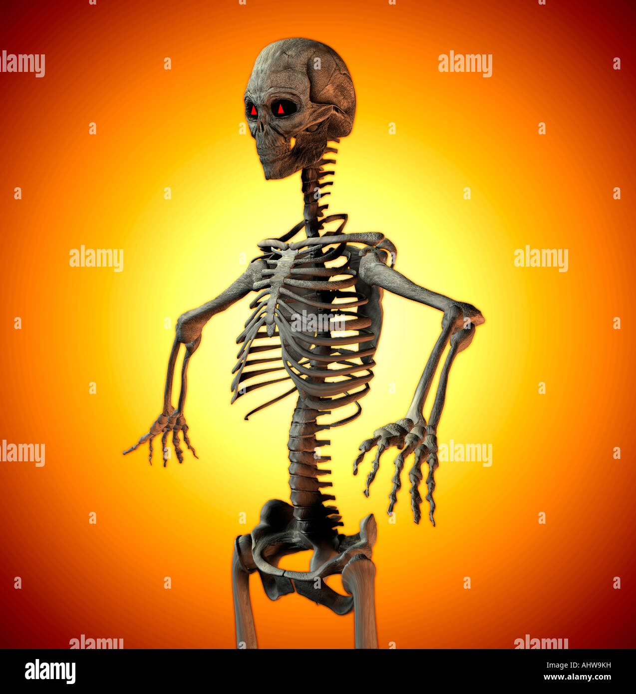 Concettuale astratto vista del teschio umano e lo scheletro Foto Stock