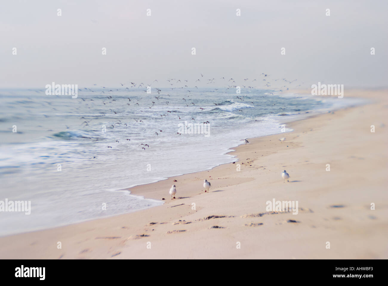 Jones Beach seashore vuota di gente bella sabbia e acqua blu su Long Island a New York STATI UNITI D'AMERICA Foto Stock