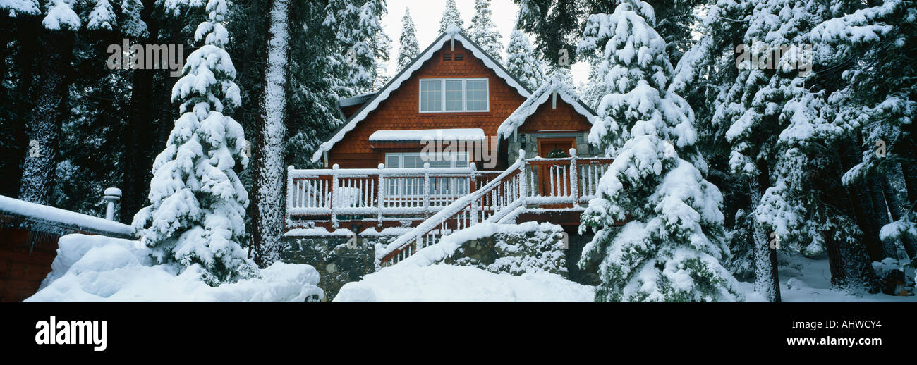 Si tratta di uno chalet di stile casa di legno ricoperto di fresco di neve caduti gli alberi di fronte sono anche coperti di neve Foto Stock