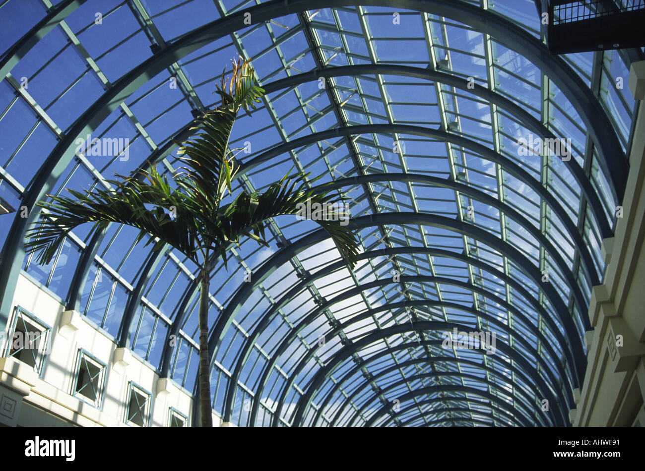 Leamington Spa, Royal Priors shopping center tetto ad atrio in vetro, Warwickshire, Regno Unito. Foto Stock