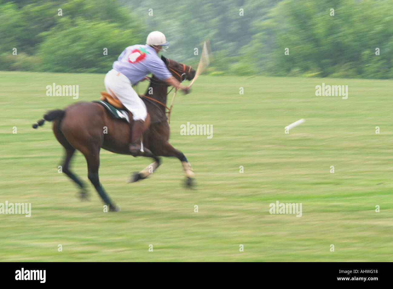 Partita di polo in Western New York Foto Stock