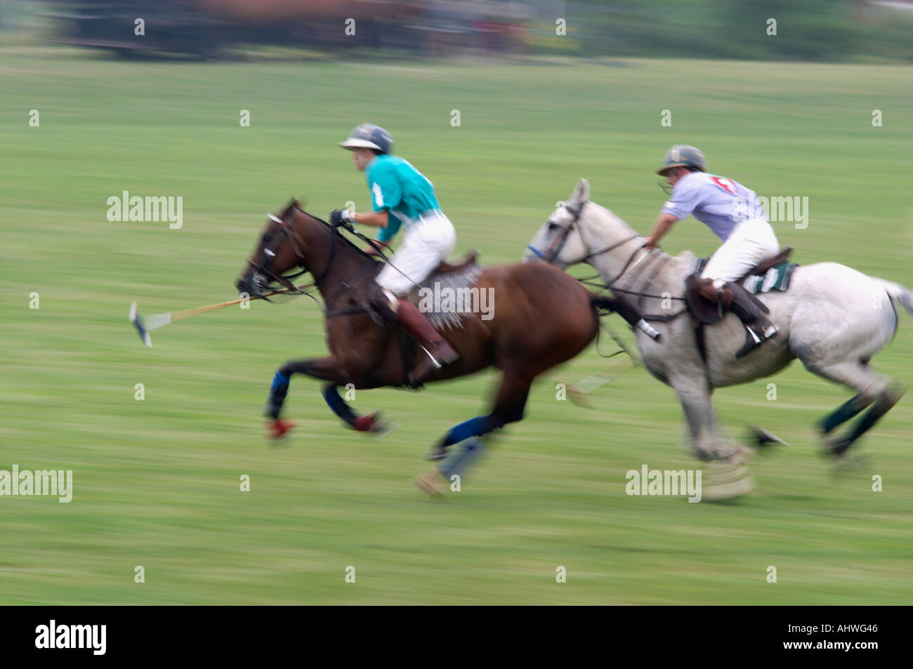 Partita di polo in Western New York Foto Stock