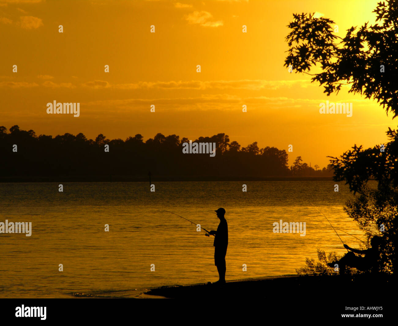L'uomo la pesca, James River vicino a Williamsburg, VA, Stati Uniti d'America Foto Stock