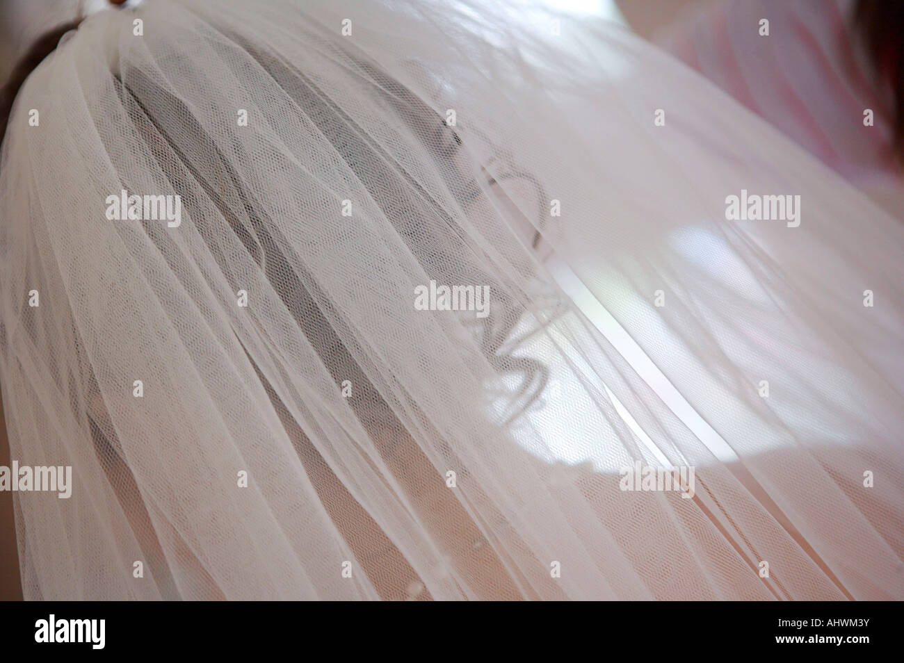 La vista di un velo di spose da dietro che mostra i ricci in her hair scattate in ambienti chiusi Foto Stock