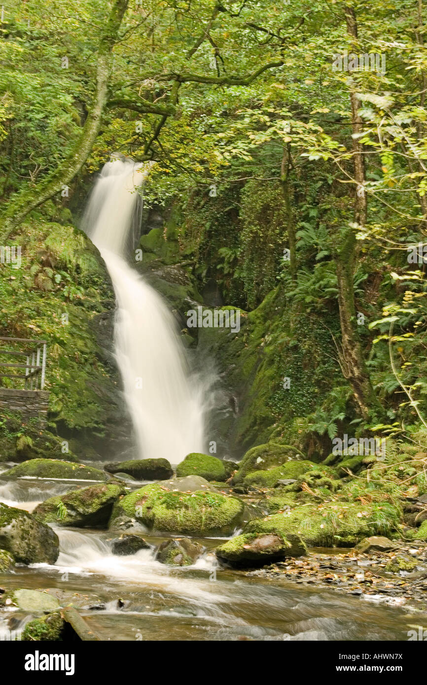 Dolgoch rientra nel Parco Nazionale di Snowdonia. Foto Stock