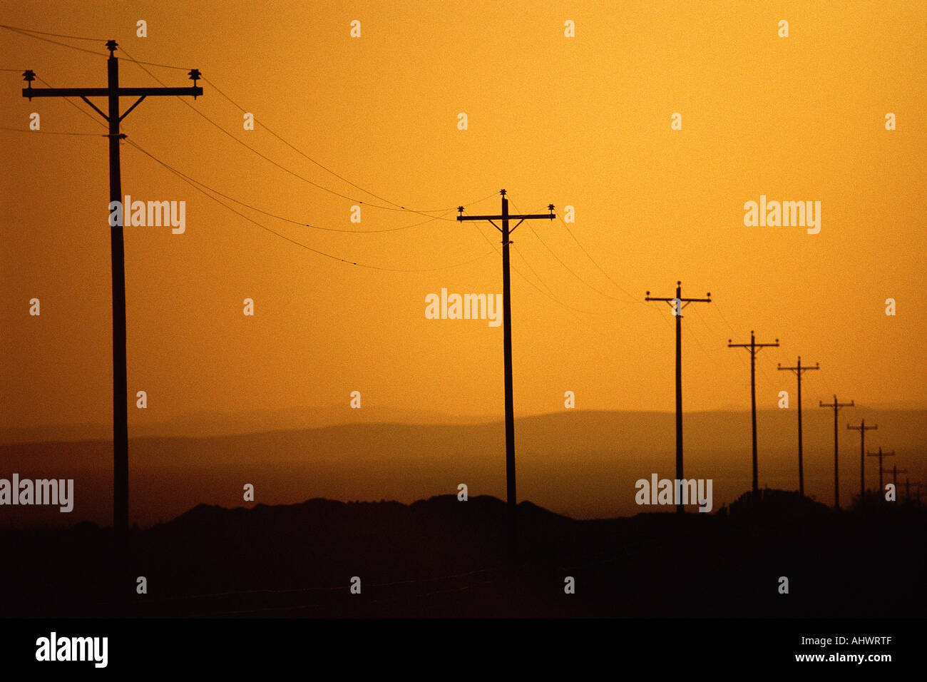 Linee telefoniche strada di rivestimento Foto Stock