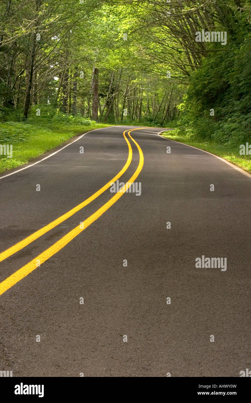 Autostrada sulla costa dell'Oregon, tre promontori Scenic Loop drive Foto Stock