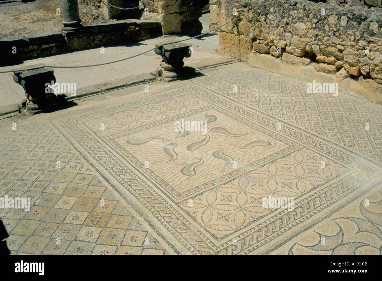 Le rovine romane, casa di Orfeo pavimento a mosaico dettaglio, Volubilis vicino a Meknes, Medio Atlante in Marocco Foto Stock