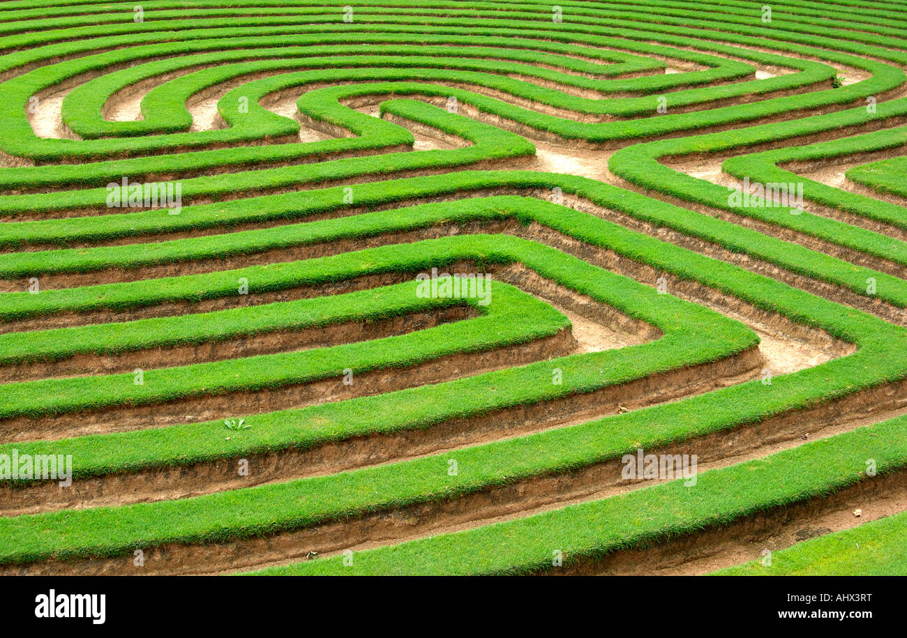 Prato di erba tagliata in un labirinto come modello di puzzle Foto Stock