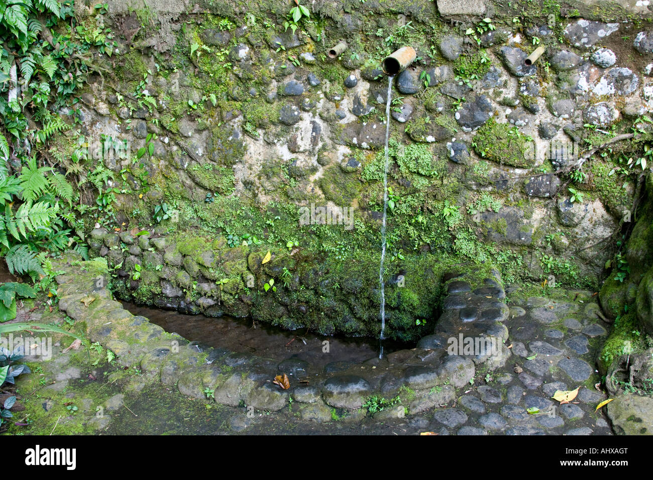 Acqua dolce primavera Ayung River Gorge Ubud Bali Indonesia Foto Stock