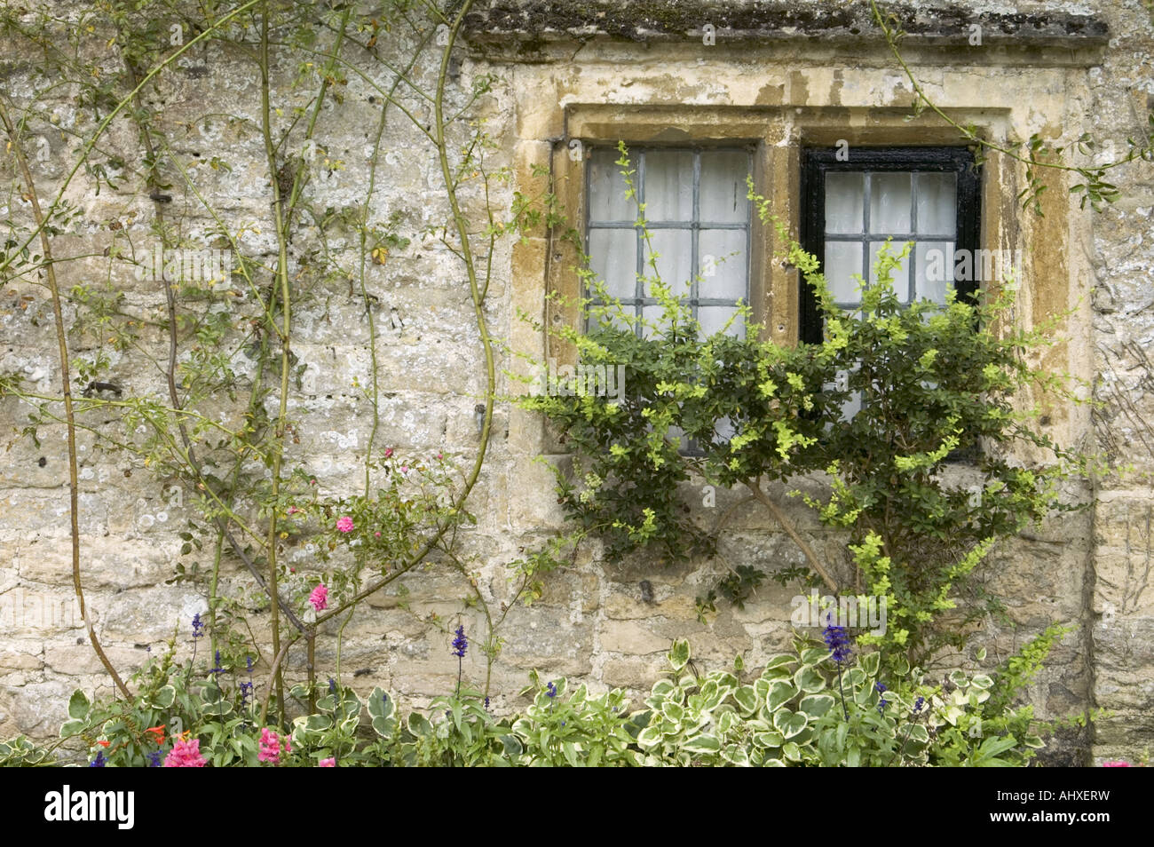 Paese di lingua inglese cottage sulla fila di Arlington, Bibury, Cotswolds, Inghilterra, Regno Unito. Foto Stock