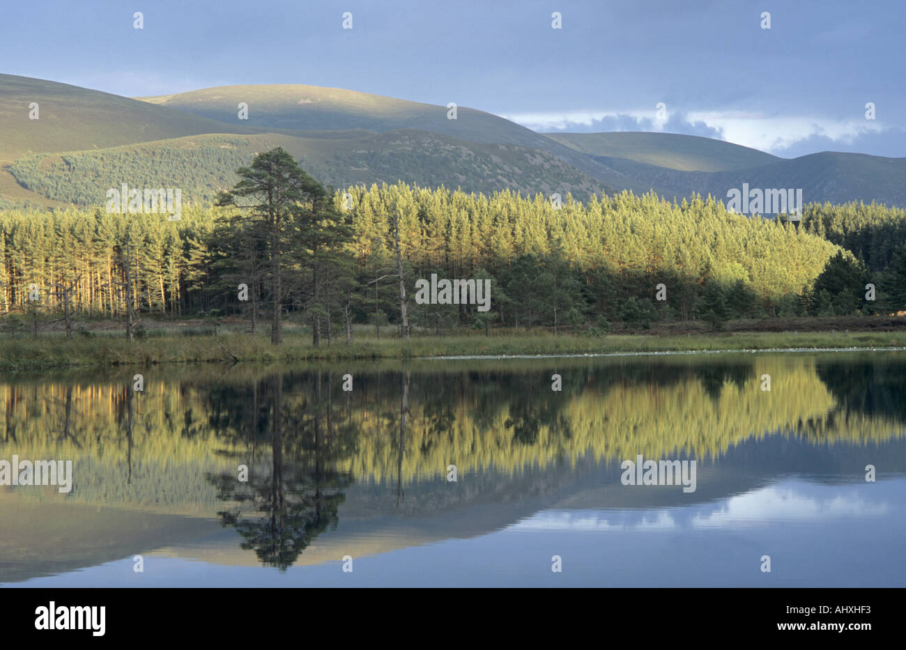 Cairngorm riflessioni Uath Lochans Foto Stock