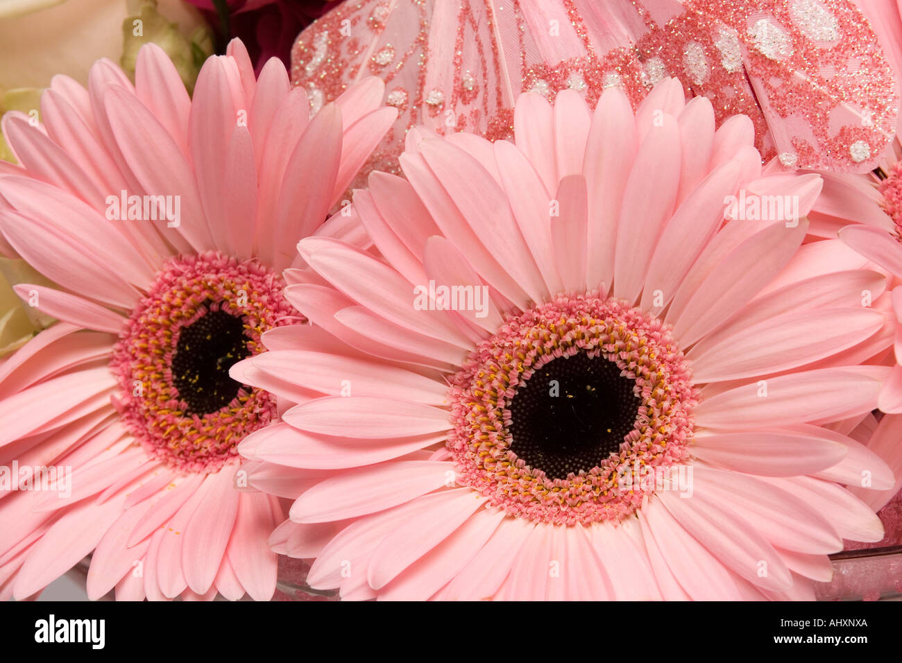 Matrimoni disposizione mazzetto di rosa fiori di gerbera Foto Stock