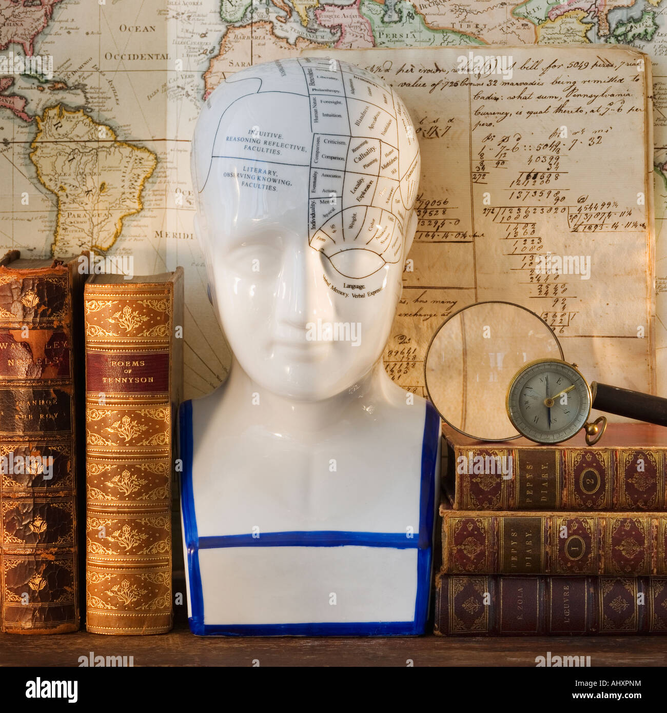 Il Phrenology schema di testa su uno scaffale con libri Foto Stock