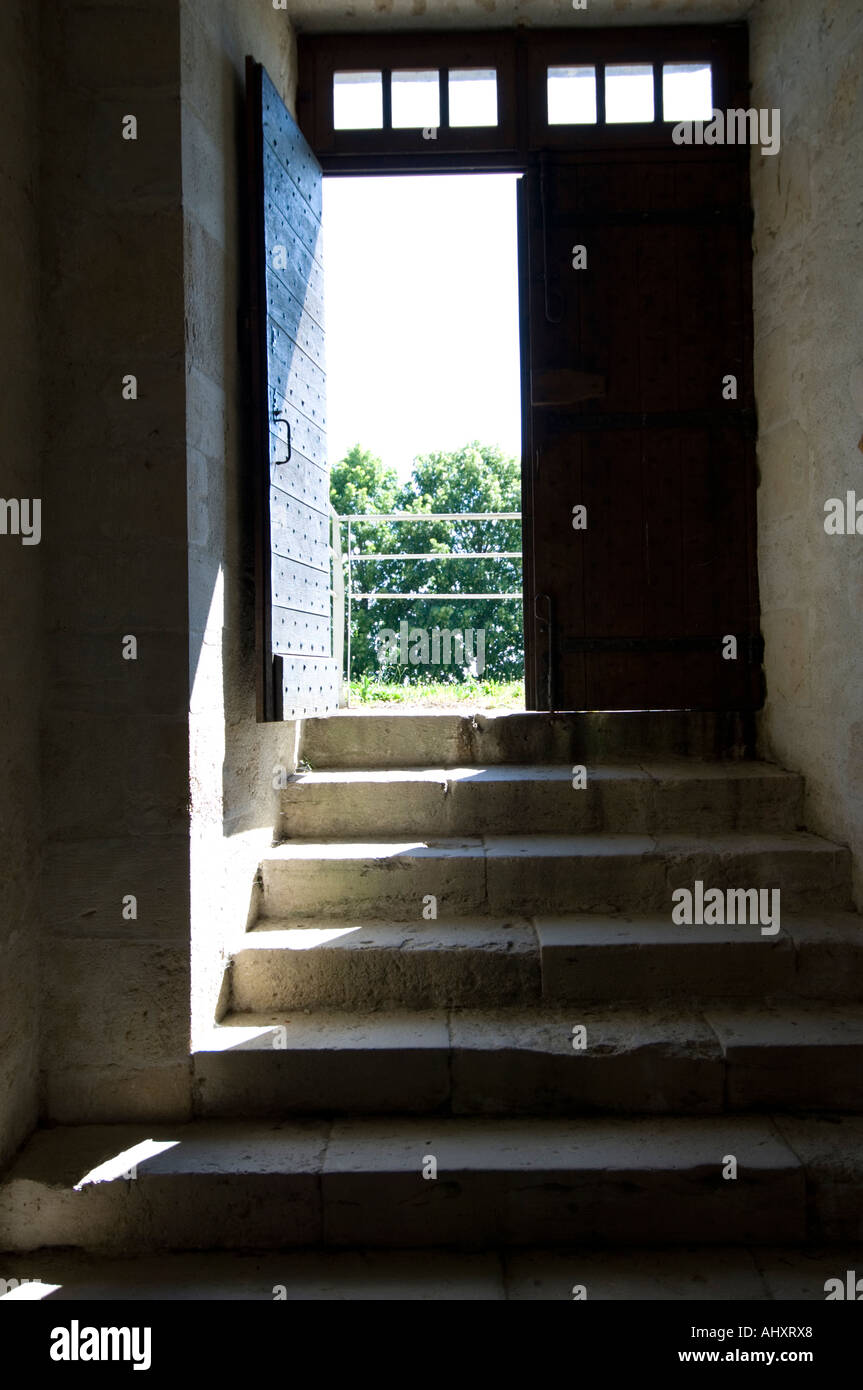 Scale in pietra che conduce al di fuori delle porte massicce Château di Duras Lot et Garonne Francia Foto Stock