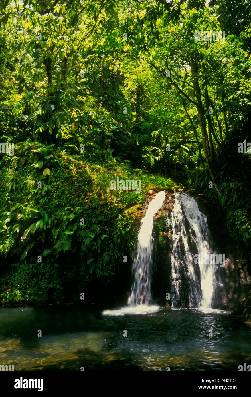 La Cascade aux Ecrevisses, Cascata di gamberi di fiume, il gambero di fiume cade, cascata Basse-Terre Guadalupa, French West Indies, Francia Foto Stock