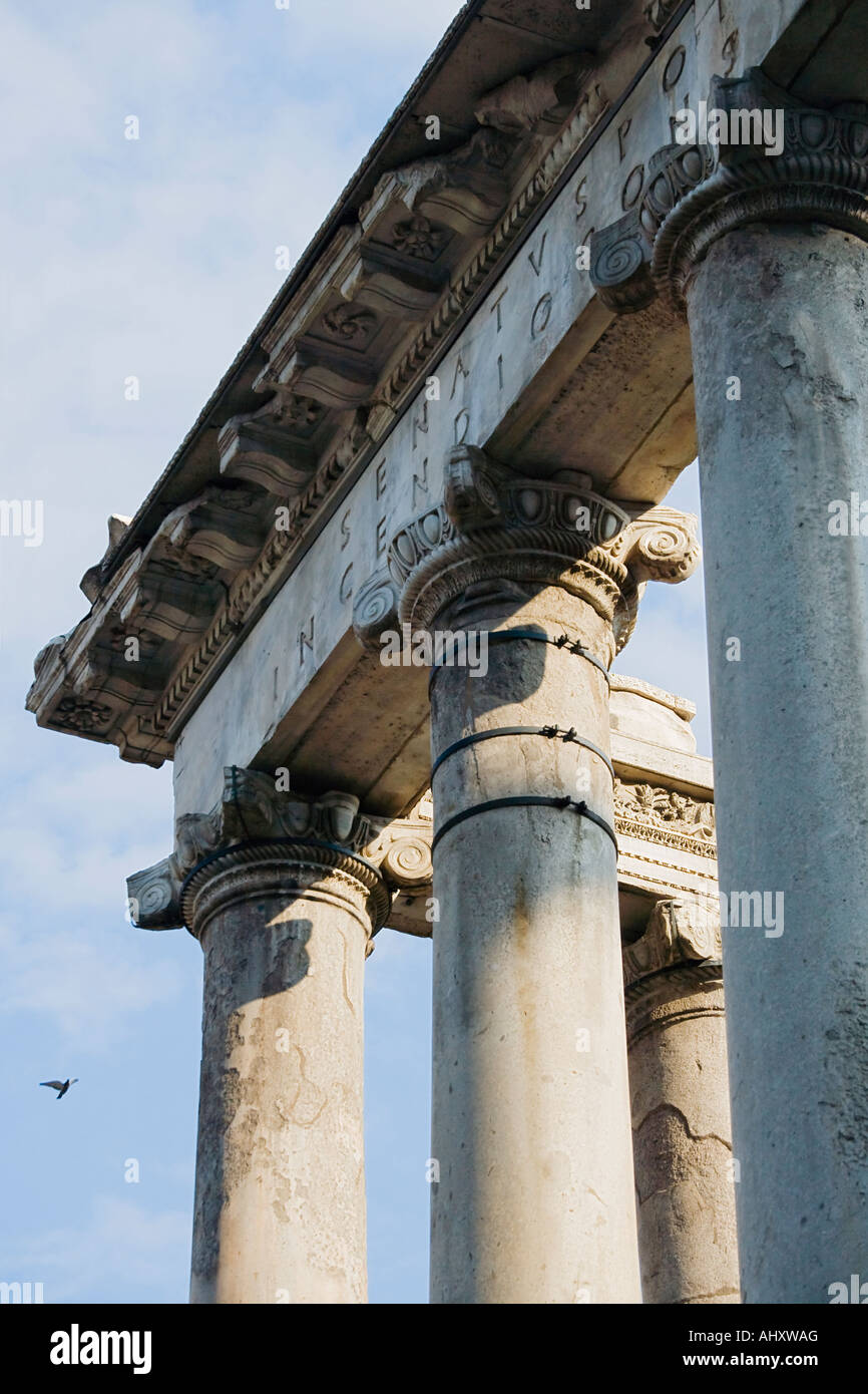 Colonne ioniche su tempio di Saturnus, Foro Romano, Italia Foto Stock