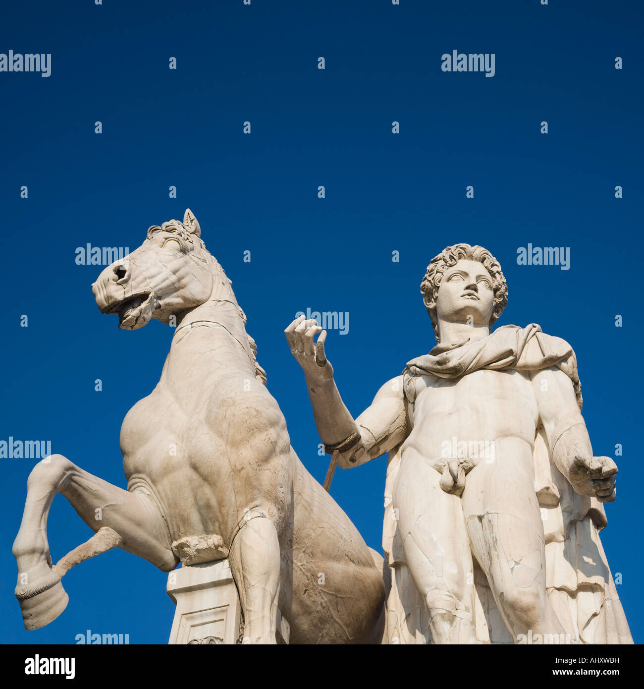Basso angolo vista della statua di ricino, Piazza del Campidoglio, Italia Foto Stock