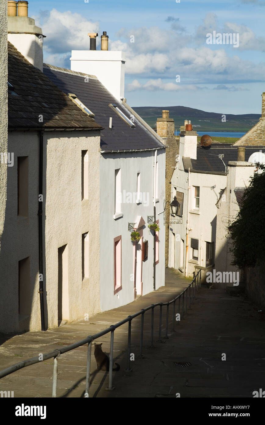 dh Graham Place STROMNESS ORKNEY SCOTLAND Cat in corsia di strada Hamnavoe ristorante città case edifici Foto Stock