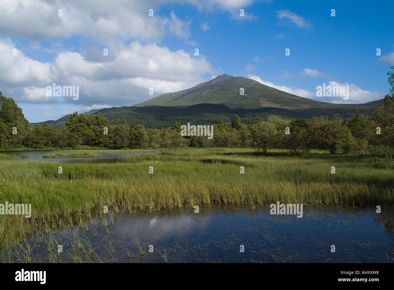 Dh Mountain Schiehallion DUNALASTAIR ACQUA PERTHSHIRE alberi loch erba palustre lochside e la gamma della montagna paesaggio Scozia Scotland Foto Stock