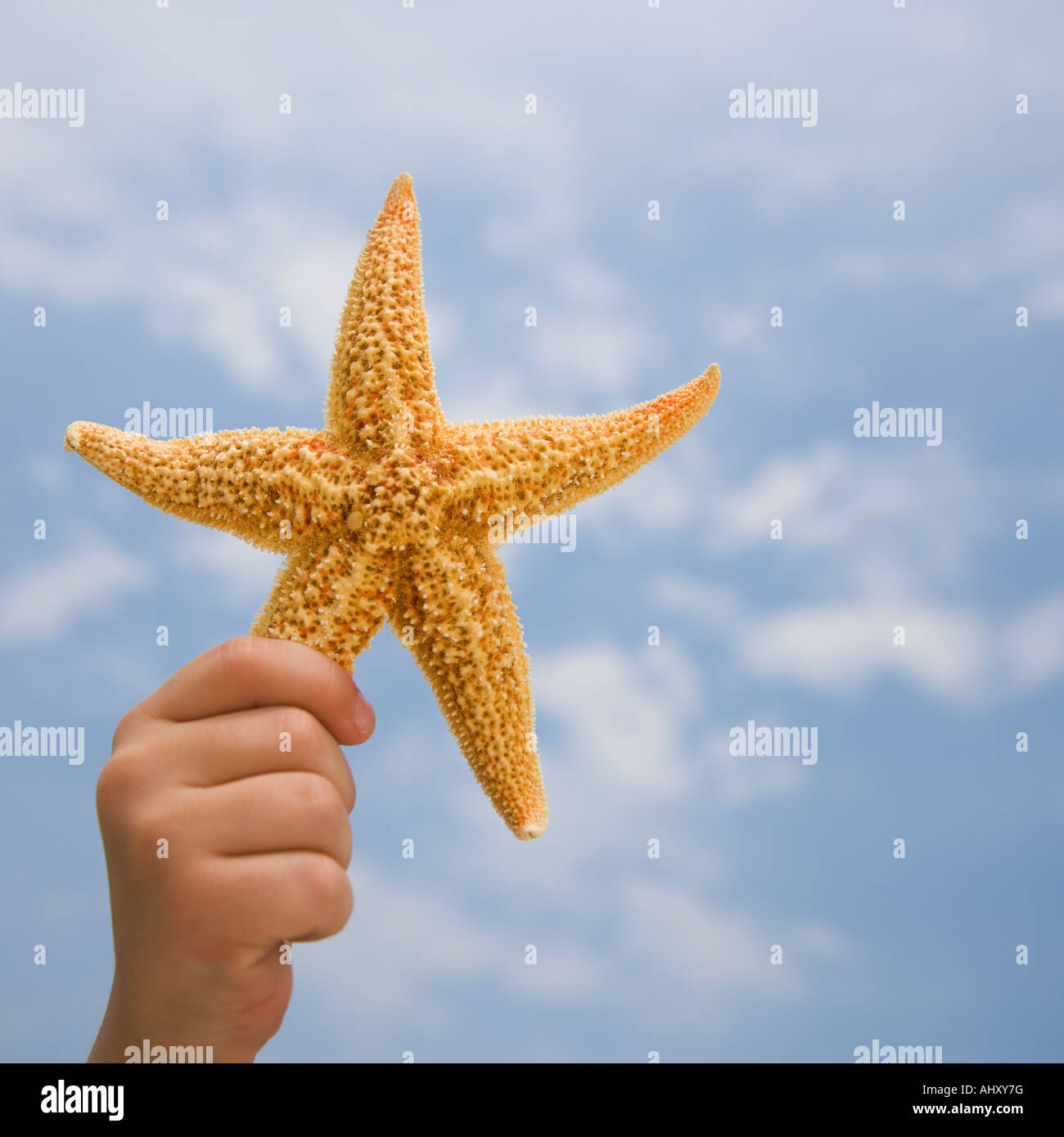 Per bambini mano azienda starfish Foto Stock