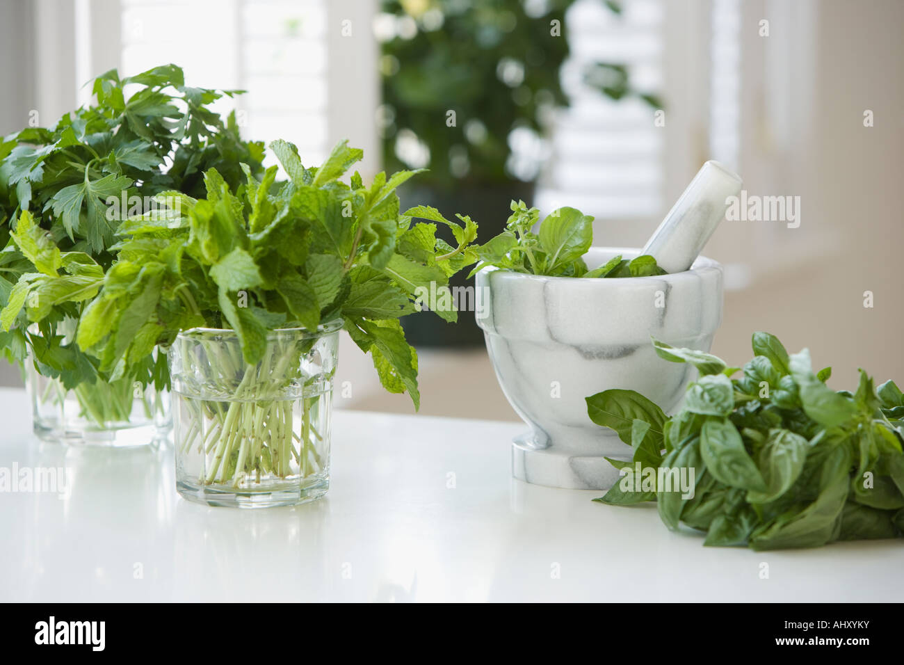 Le erbe fresche accanto al mortaio e pestello Foto Stock