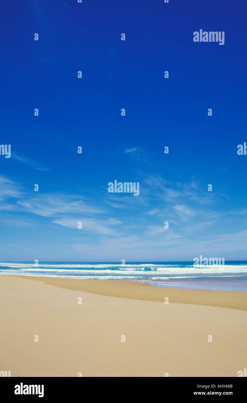 Vuoto tipico deserta spiaggia australiana a Waitpinger Fleurieu Peninsula vicino a Adelaide Australia del Sud Foto Stock
