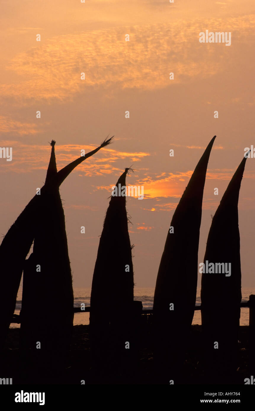 Caballitos de Totora, reed Fishermens barche al tramonto, Huanchaco, Perù Foto Stock