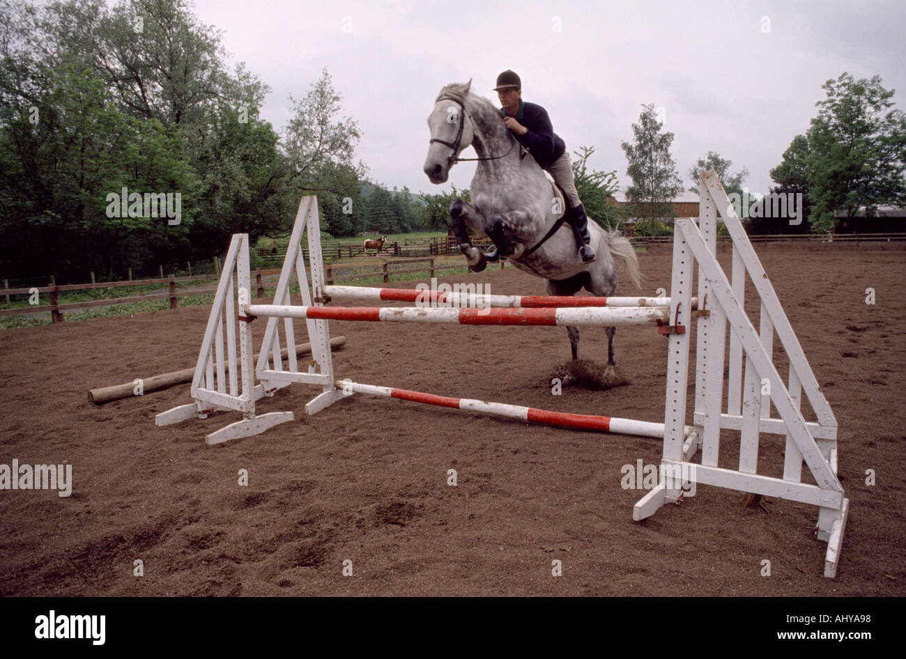 Equitazione mostrano il ponticello in Scozia in Gran Bretagna nel Regno Unito Regno Unito. Sport Life stile di vita Foto Stock