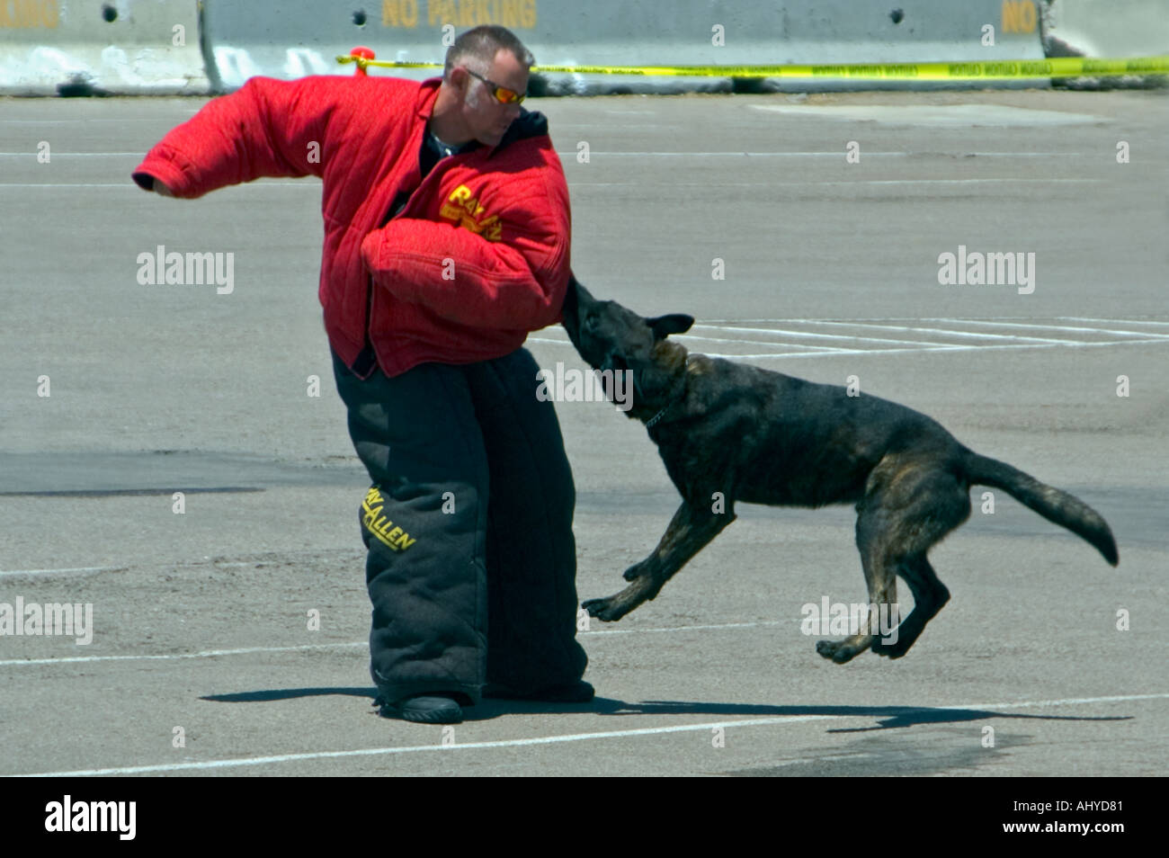 La polizia di addestramento del cane Foto Stock