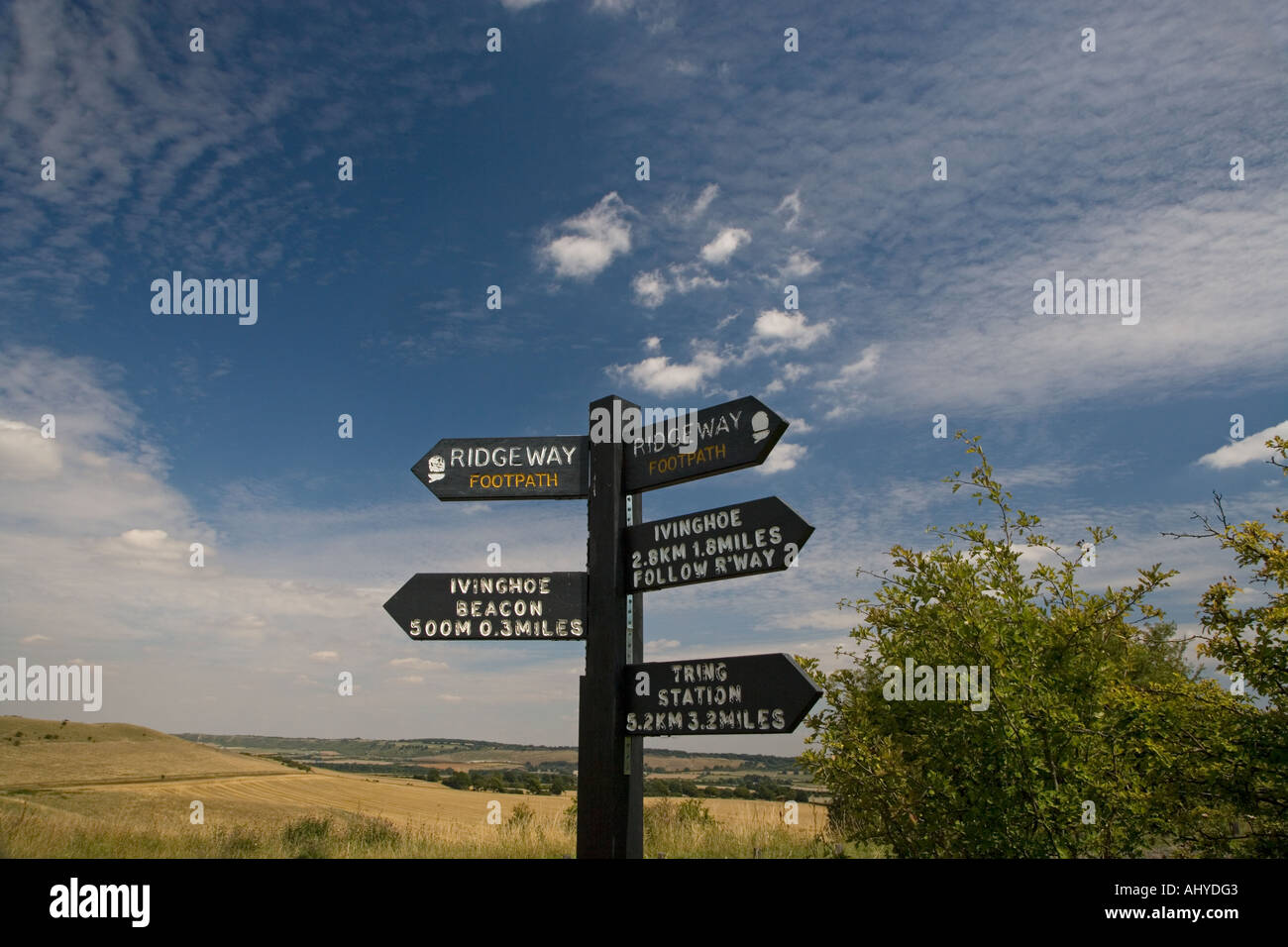 Il percorso di Ridgeway Ivinghoe Buckinghamshire REGNO UNITO Foto Stock