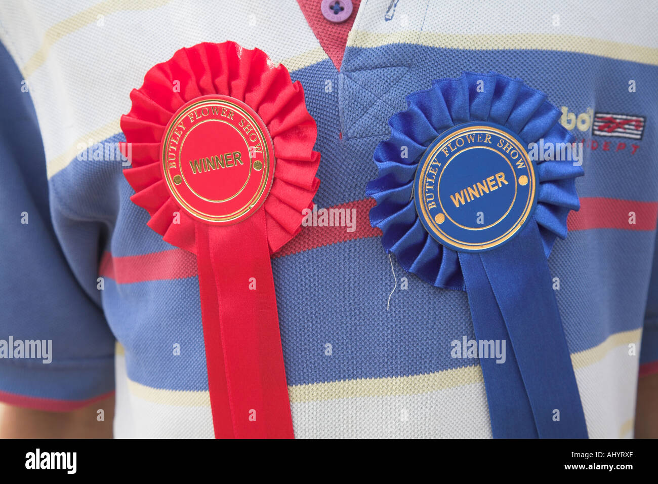 Il rosso e il blu vincitore badge rosette su un bambino al torace Foto Stock