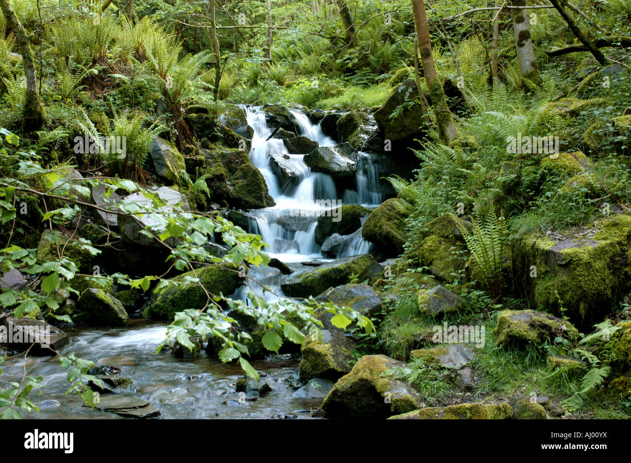 Oriente rotolamenti di acqua attraverso una valle rocciosa sotto la collina Dunkery su Exmoor Foto Stock