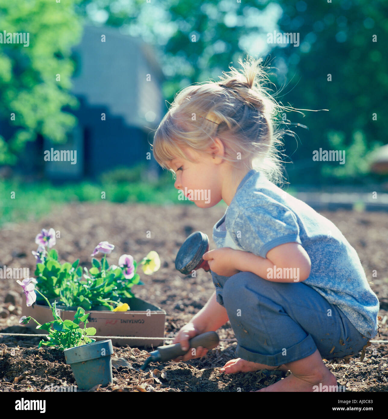 Bambina utilizza una cazzuola per scavare in un giardino per preparare per la piantagione di una scatola di pansies Foto Stock