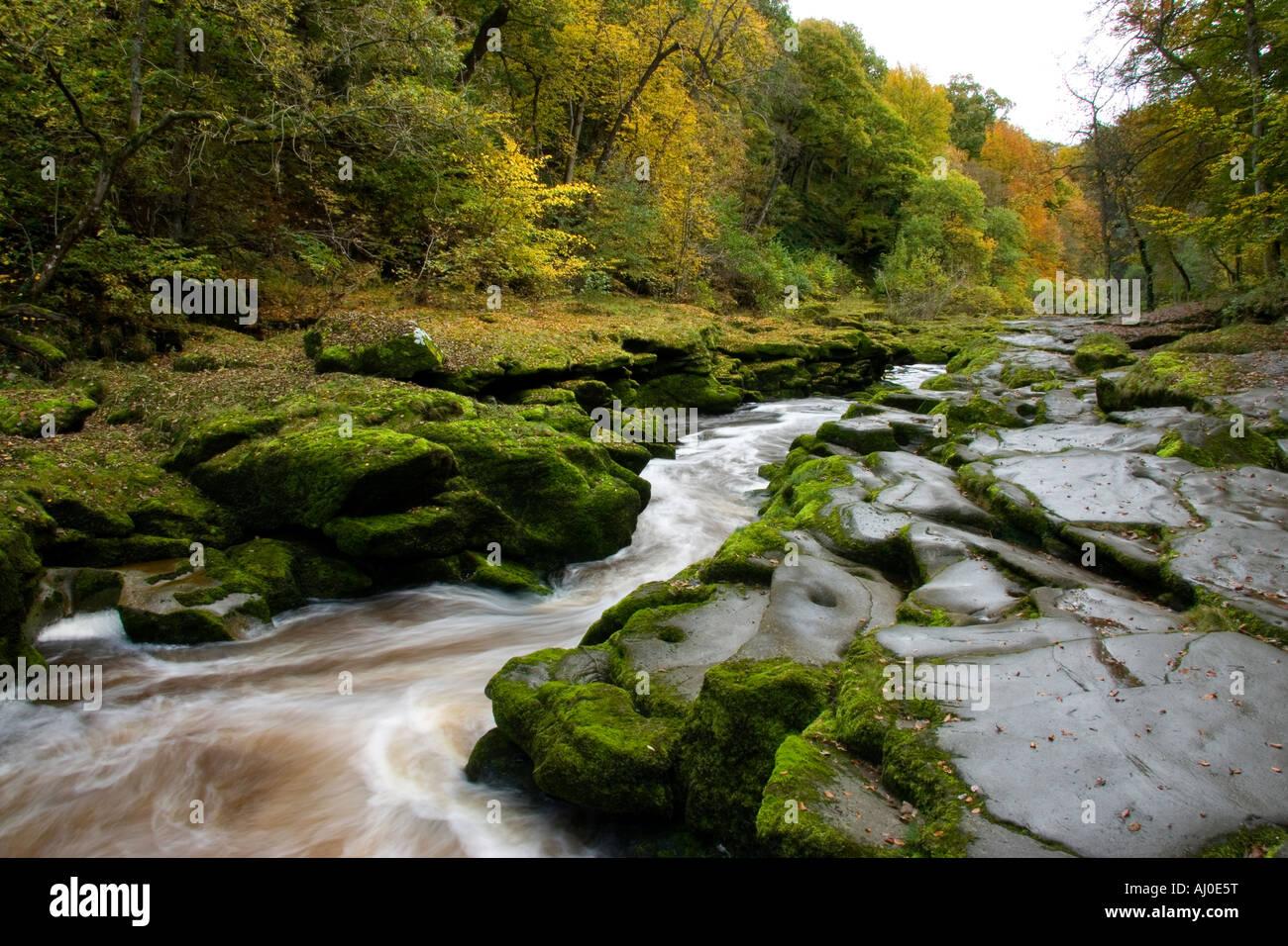 L 'hotel Astrid, una caratteristica del Fiume Wharfe nel North Yorkshire Foto Stock