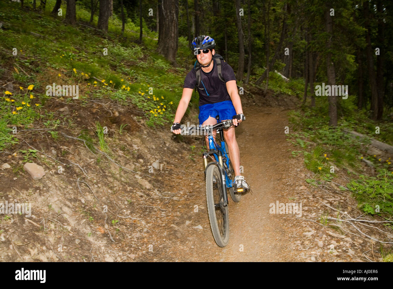 Casey Mountain bike Baldys esteso sistema di pista nella Sun Valley Idaho Modello rilasciato Foto Stock