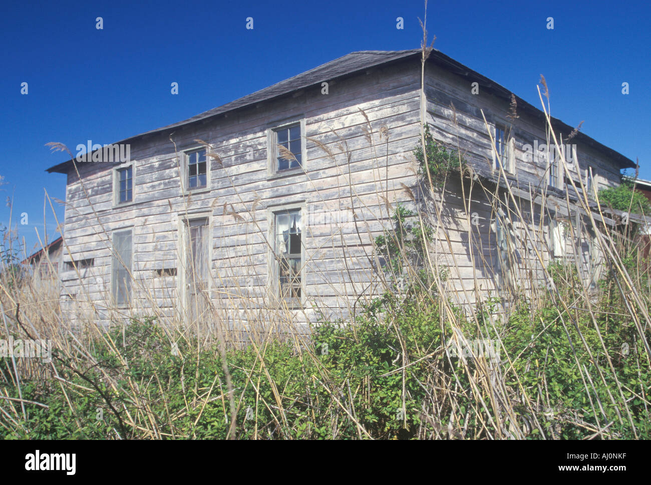 Log cabin KY Foto Stock