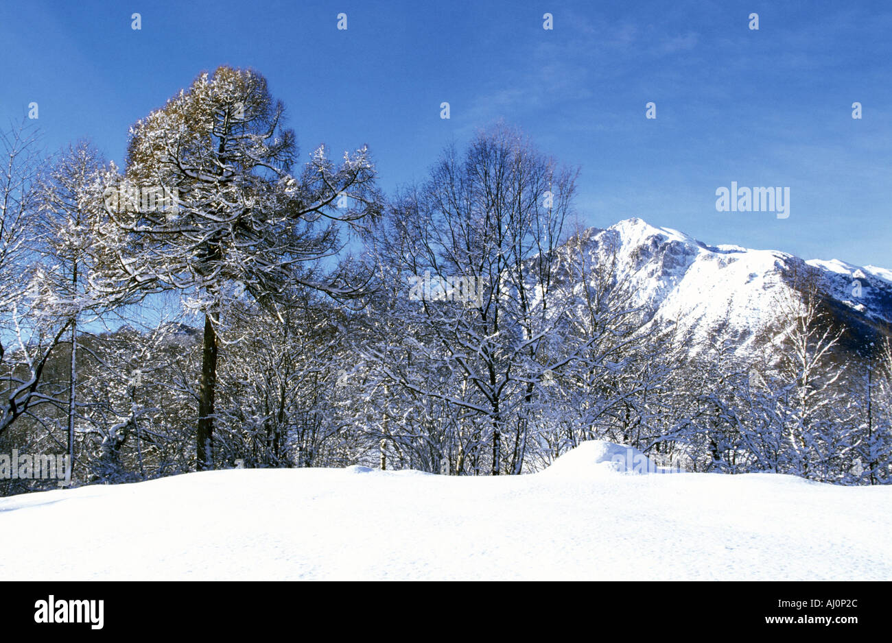 Massiccio della Grigna Meridionale Prealpi Lombarde Italia Foto Stock