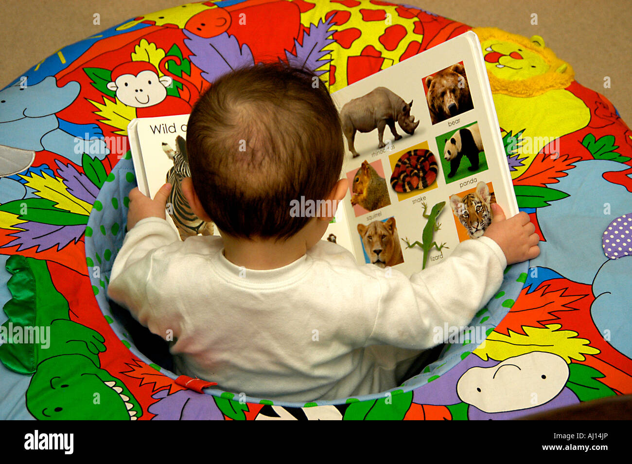 Vista posteriore del baby sitter libro di lettura Foto Stock