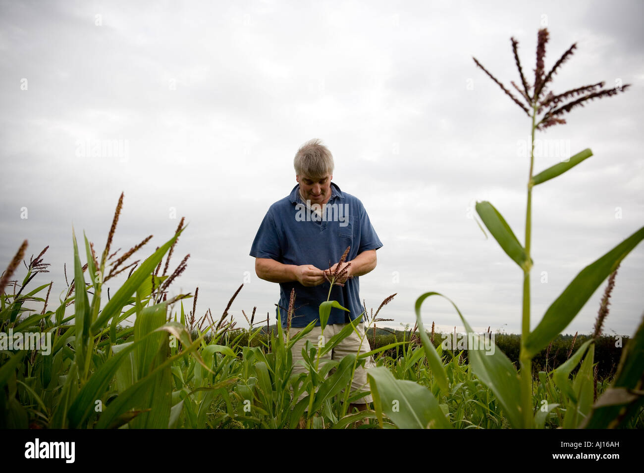 Agricoltore Rob diritto, Imprenditore dell'anno 2007 su parsimonia Farm, Hertfordshire Foto Stock