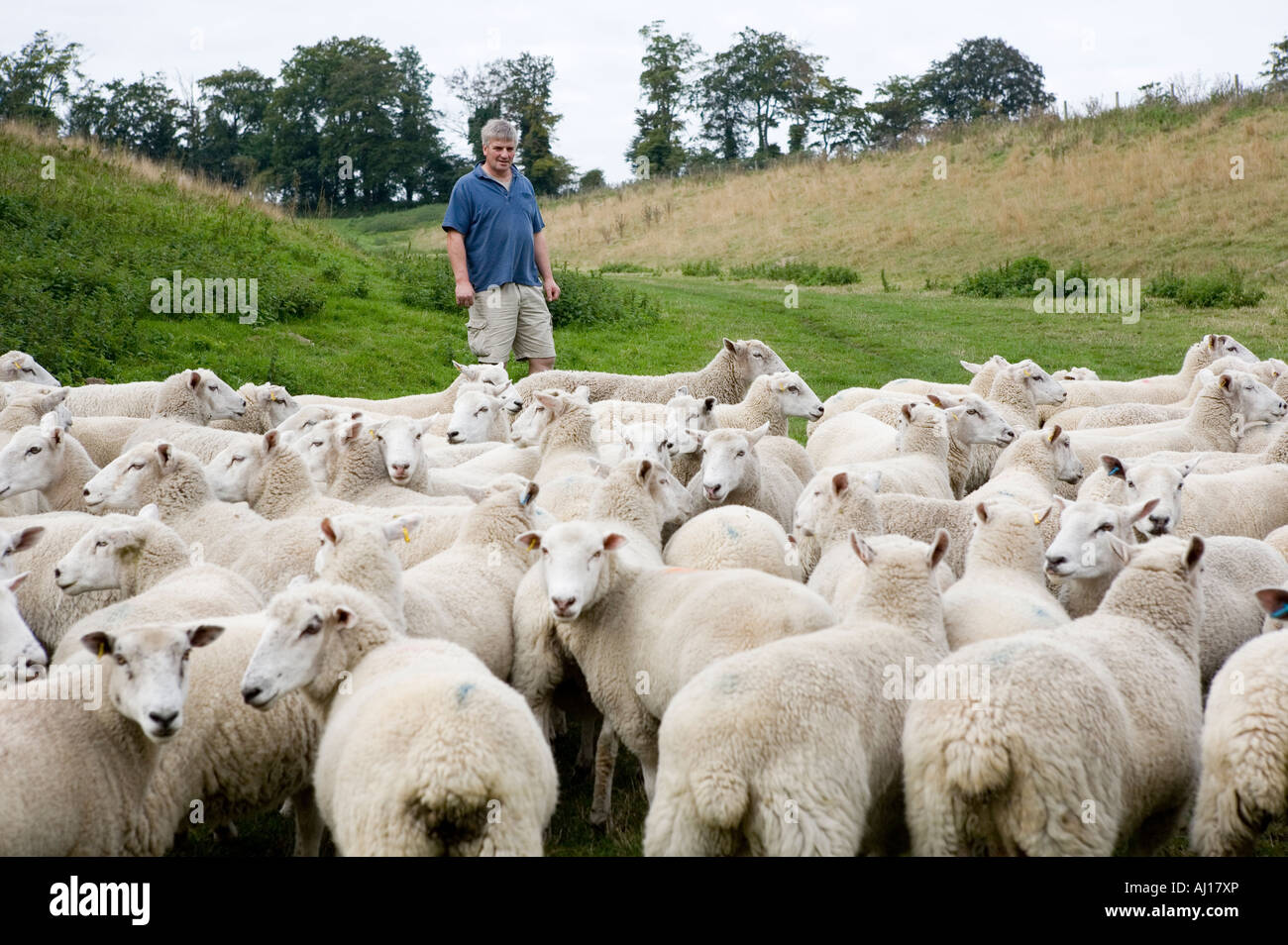 Agricoltore Rob diritto, Imprenditore dell'anno 2007 su parsimonia Farm, Hertfordshire Foto Stock