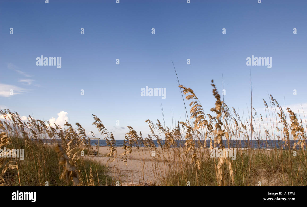 Tybee Island GEORGIA, STATI UNITI D'AMERICA Foto Stock