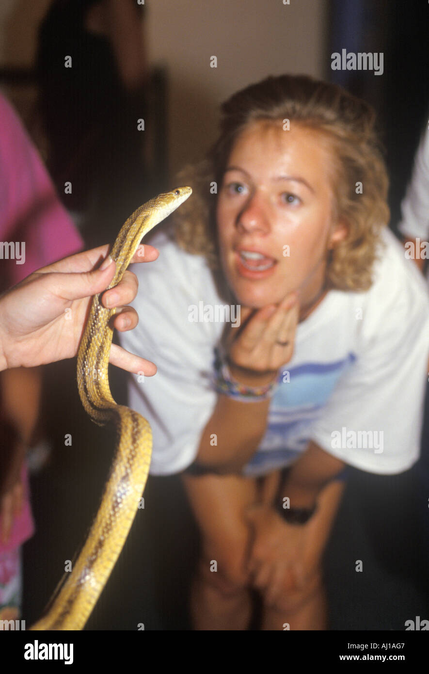 Una donna sta guardando un albino Python snake Foto Stock