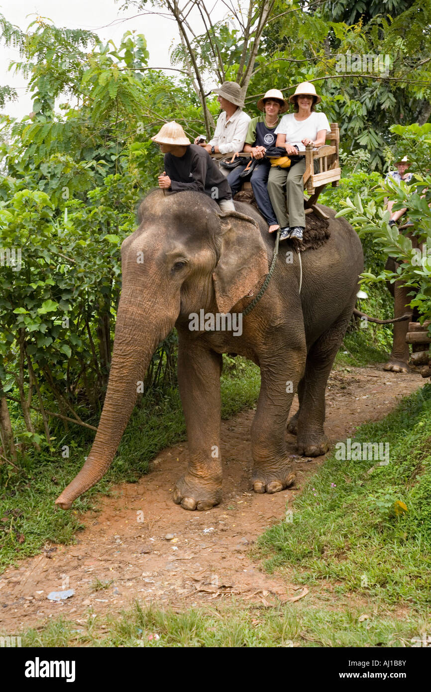 I turisti attendere per attraversare la strada mentre cavalcate un elefante a l'Elefante progetto parco vicino a Luang Prabang, Laos Foto Stock