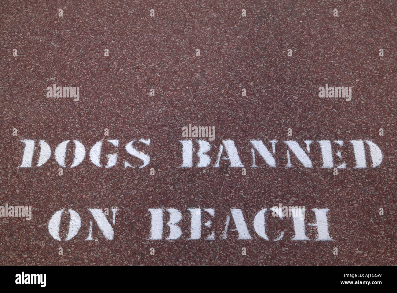 Cani vietato sulla spiaggia impresse su un marciapiede Foto Stock