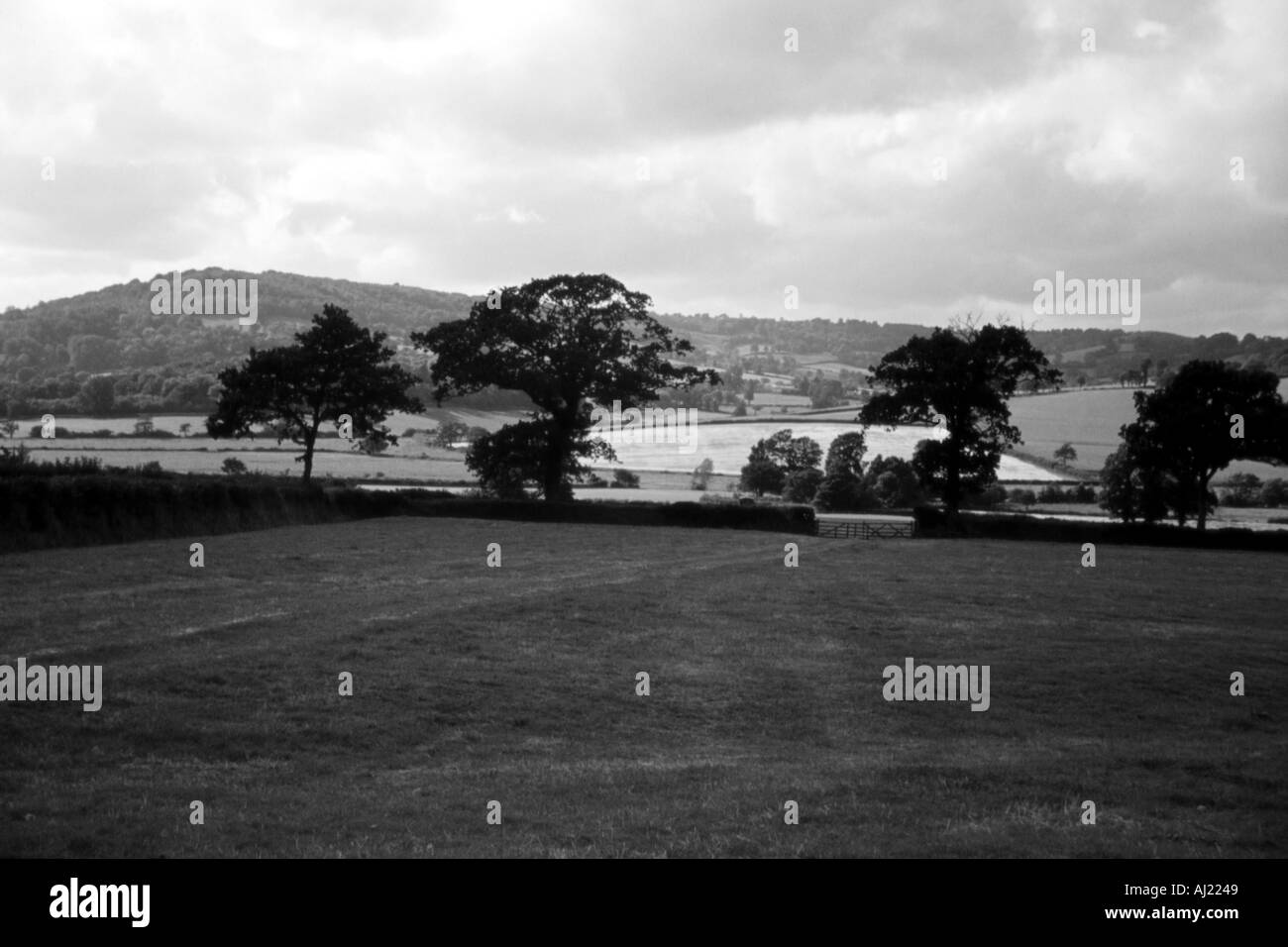 Immagine in bianco e nero fuori un immagine fuori un campo nel lato del paese Foto Stock