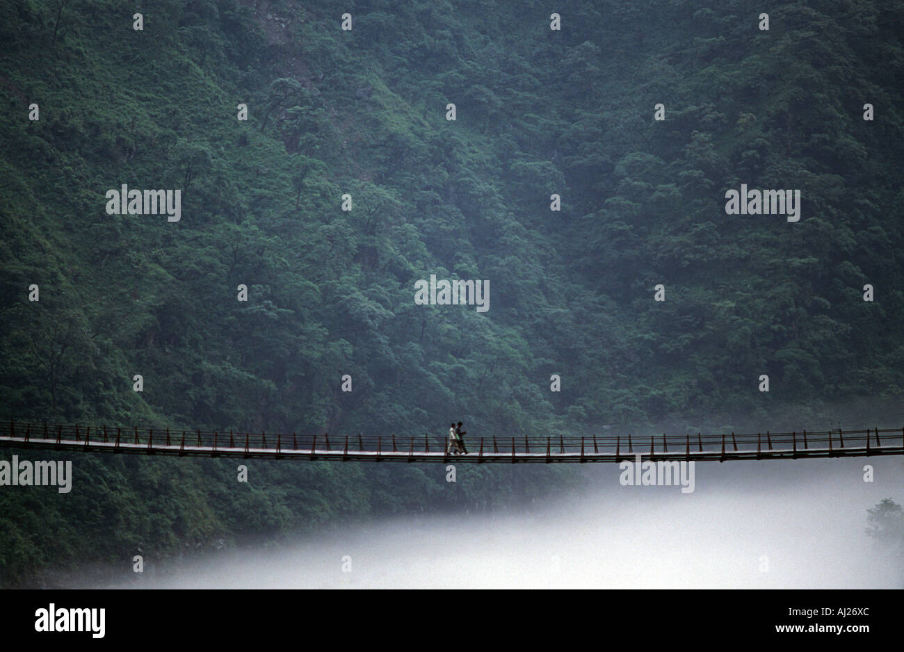 Passerella sospesa spanning una valle nella Pedemontana himalayana di Himachal Pradesh vicino Mandi India del Nord Foto Stock