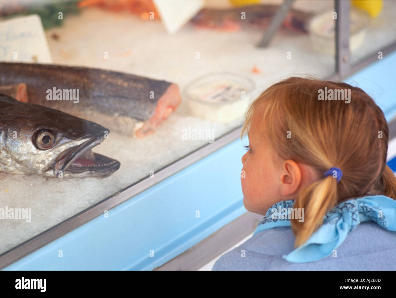 Ragazzina curiosa guardando il grande pesce su ghiaccio in un mercato francese. Foto Stock