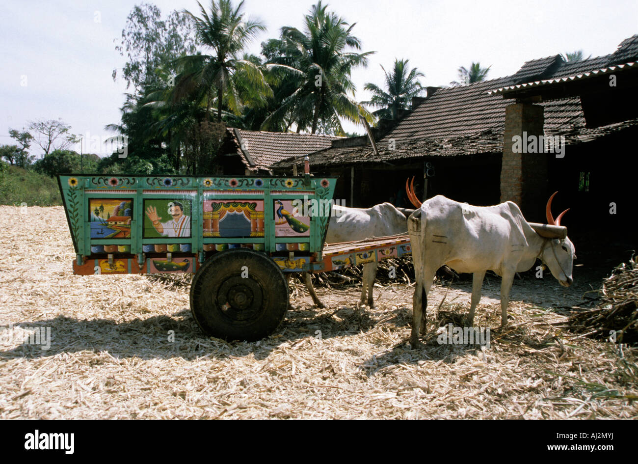 La vita del villaggio Bullock carrello con due giovenchi in Karnataka India del Sud Foto Stock