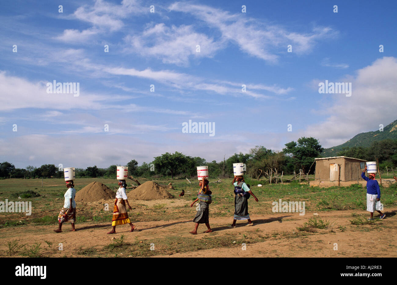 Donne che trasportano secchi di acqua sulle loro teste per un progetto di costruzione di comunità. Eswatini (Swaziland) Foto Stock